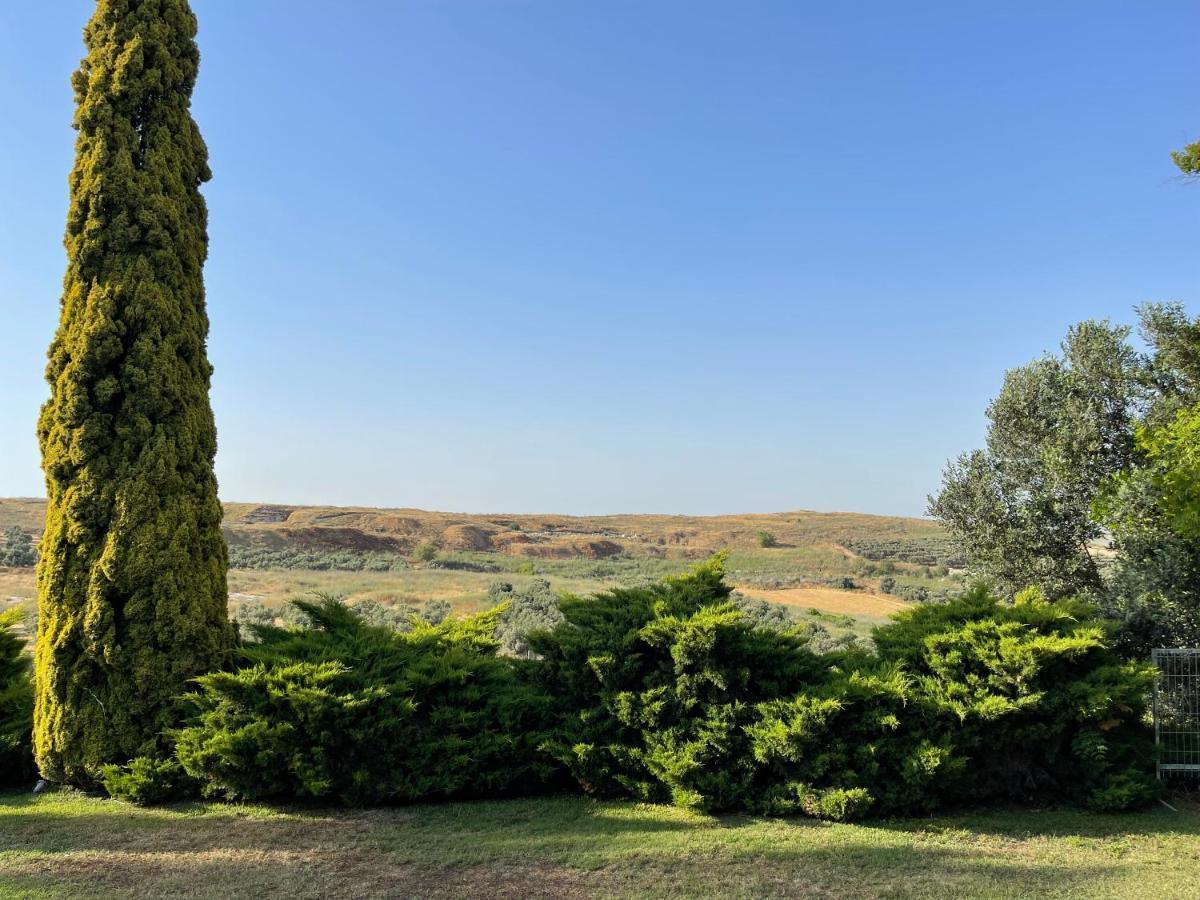 Villa Ba'Gefen Karmei Yosef 外观 照片