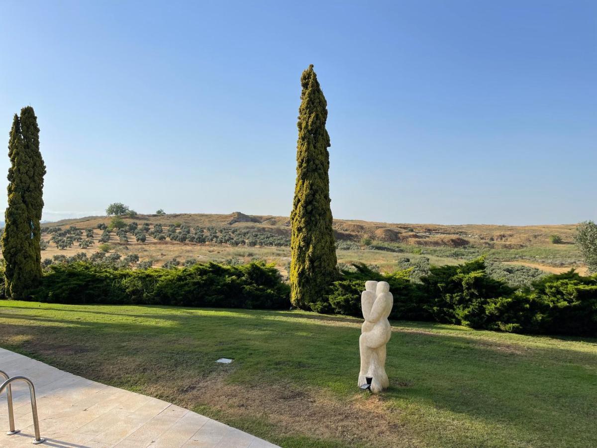 Villa Ba'Gefen Karmei Yosef 外观 照片
